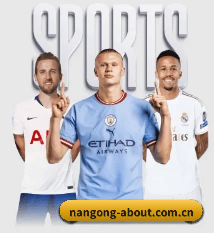 nangong-about.com.cn的故事 - 体育资讯内容服务